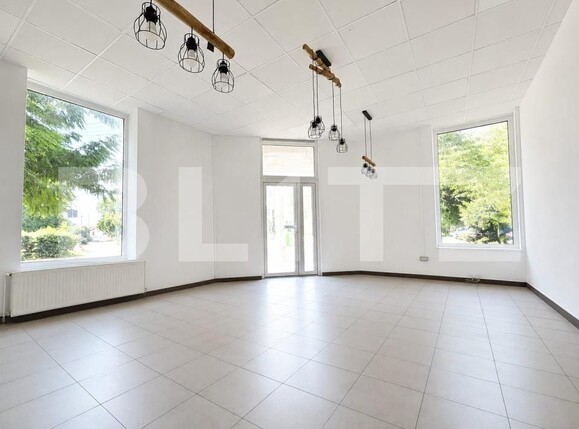 Spațiu comercial de închiriat Freidorf - 204096SIC | BLITZ Timișoara | Poza1