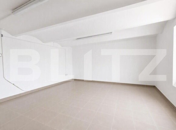 Spațiu comercial de închiriat Freidorf - 204096SIC | BLITZ Timișoara | Poza3