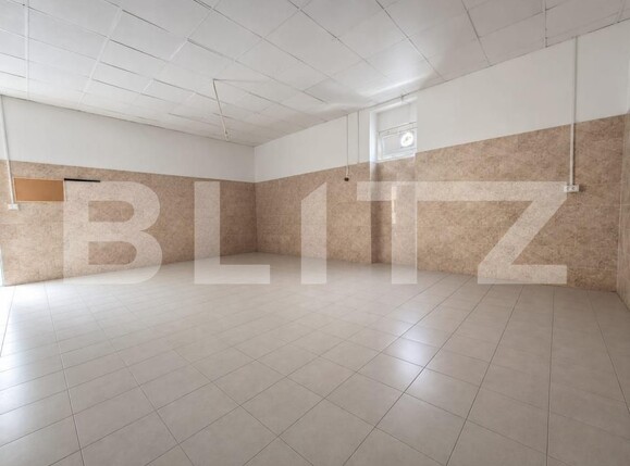 Spațiu comercial de închiriat Freidorf - 204096SIC | BLITZ Timișoara | Poza2