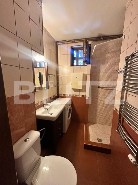 Apartament de închiriat 2 camere Ultracentral - 204101AI | BLITZ Timișoara | Poza8