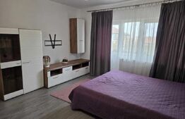 Apartament 2 camere, zona Lunei