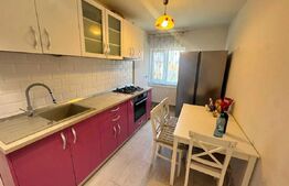 Apartament 2 camere, zona Lunei