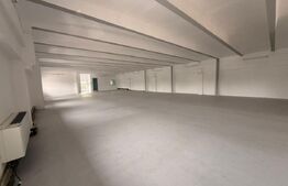 Spatiu comercial, 750 mp, zona Lipovei