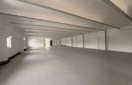 Spatiu comercial, 750 mp, zona Lipovei