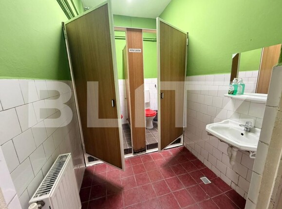 Spațiu comercial de închiriat Lipovei - 204193SIC | BLITZ Timișoara | Poza5