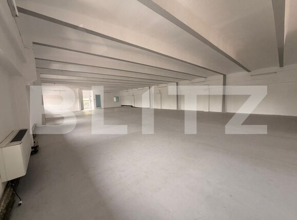 Spațiu comercial de închiriat Lipovei - 204193SIC | BLITZ Timișoara | Poza3