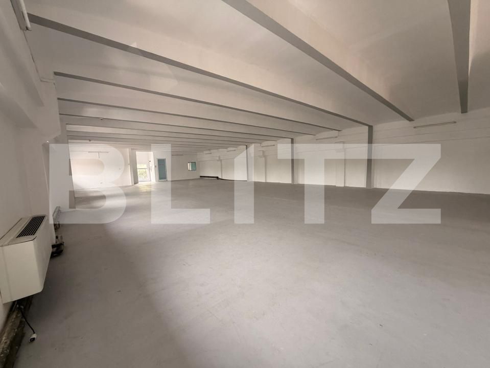 Spațiu comercial de închiriat Lipovei - 204193SIC | BLITZ Timișoara | Poza3