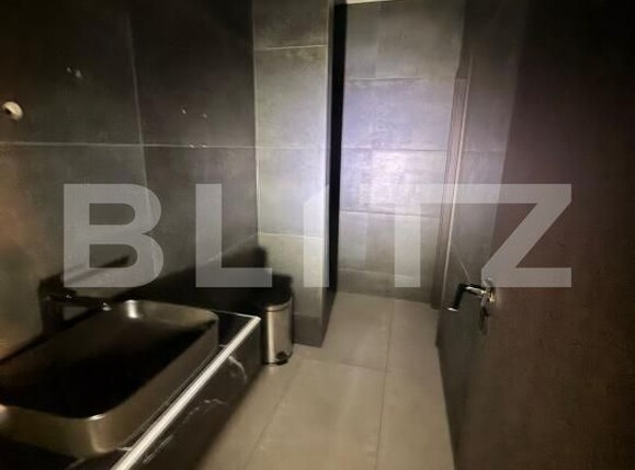 Spațiu comercial de închiriat Lipovei - 204302SIC | BLITZ Timișoara | Poza6