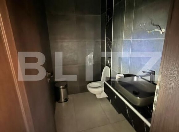 Spațiu comercial de închiriat Lipovei - 204302SIC | BLITZ Timișoara | Poza7