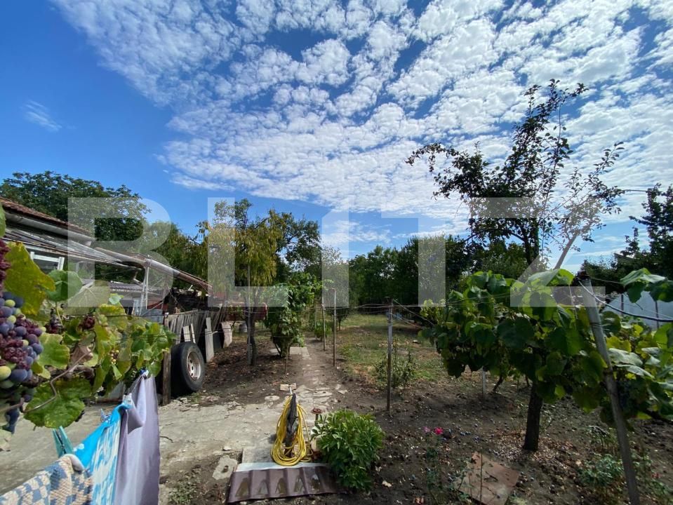Casa de vânzare 3 camere Fratelia - 204461CV | BLITZ Timișoara | Poza2