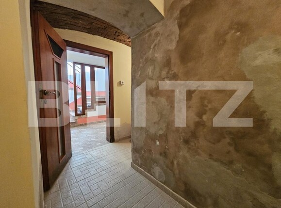 Spațiu comercial de închiriat Balcescu - 204682SIC | BLITZ Timișoara | Poza3