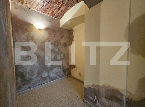 Spațiu comercial de închiriat Balcescu - 204682SIC | BLITZ Timișoara | Poza4