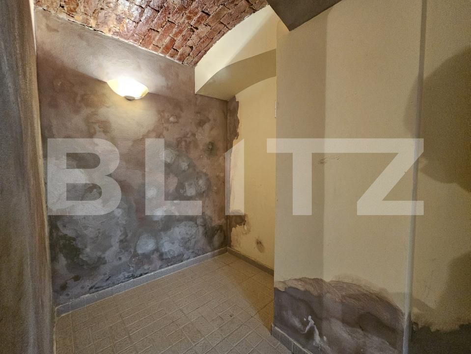 Spațiu comercial de închiriat Balcescu - 204682SIC | BLITZ Timișoara | Poza4