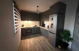 Duplex de inchiriere, 70 mp, pet friendly, zona Moșnița Veche