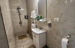 Hotel cu 7 apartamente, 450 mp, zona Girocului 
