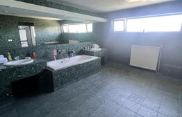 Hotel cu 7 apartamente, 450 mp, zona Girocului 