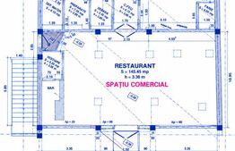 Spațiu comercial de închiriat Dumbravita - 206761SIC | BLITZ Timișoara | Poza2