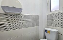 Apartament de inchiriat, 160 mp, zona Traian