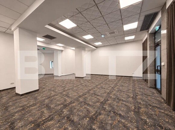Spațiu comercial de închiriat Central - 205608SIC | BLITZ Timișoara | Poza1