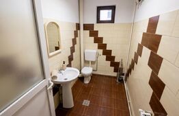 Spatiu comercial, 60 mp, SAD, zona Dambovita 