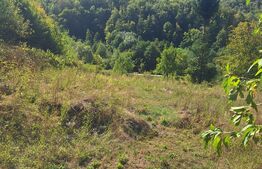 Teren de vanzare, 4847 mp, cabana, zona Nadrag 