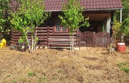 Teren de vanzare, 4847 mp, cabana, zona Nadrag 