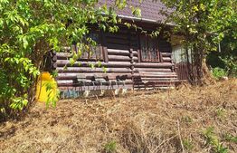 Teren de vanzare, 4847 mp, cabana, zona Nadrag 