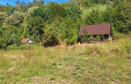 Teren de vanzare, 4847 mp, cabana, zona Nadrag 