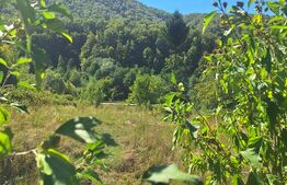 Teren de vanzare, 4847 mp, cabana, zona Nadrag 