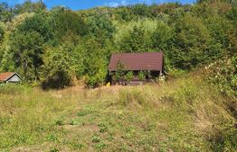 Teren de vanzare, 4847 mp, cabana, zona Nadrag 