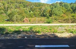 Teren de vanzare, 4847 mp, cabana, zona Nadrag 