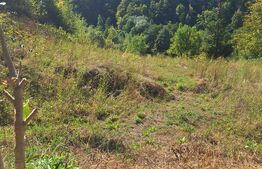 Teren de vanzare, 4847 mp, cabana, zona Nadrag 