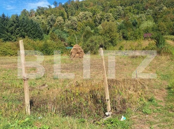 Teren de vânzare Nadrag - 205653TV | BLITZ Timișoara | Poza13