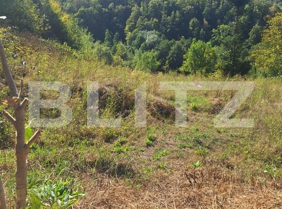 Teren de vânzare Nadrag - 205653TV | BLITZ Timișoara | Poza4