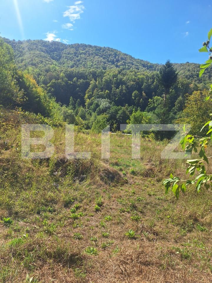 Teren de vânzare Nadrag - 205653TV | BLITZ Timișoara | Poza3