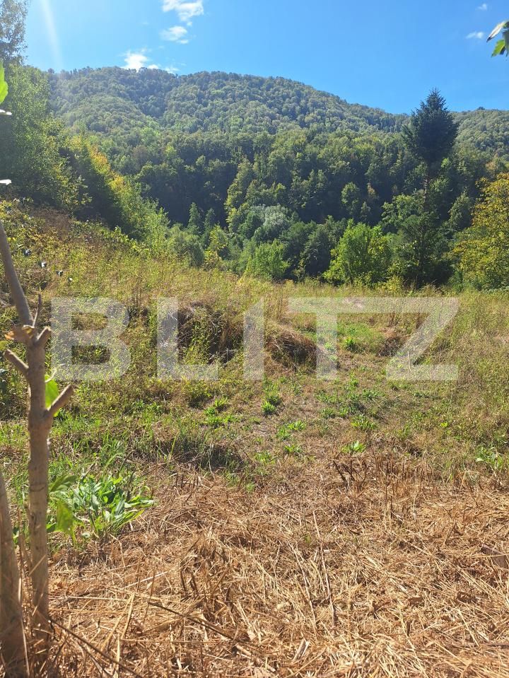 Teren de vânzare Nadrag - 205653TV | BLITZ Timișoara | Poza4