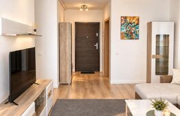Apartament de închiriat 2 camere Lipovei - 201447AI | BLITZ Timișoara | Poza1