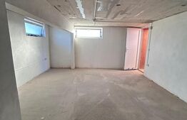 Casă individuală cu interior la roșu, teren 804 mp, Pișchia