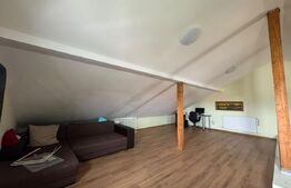 Jumatate de duplex, 170 mp, pet-friendly, zona Braytim
