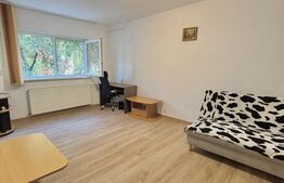 Apartament cu o camera, 28 mp, zona Lipovei