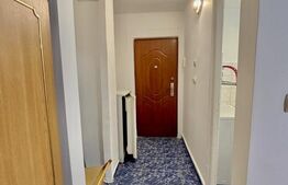 Apartament cu o camera, 28 mp, zona Lipovei