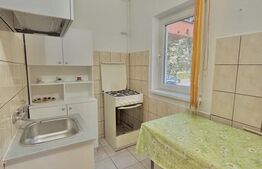 Apartament cu o camera, 28 mp, zona Lipovei
