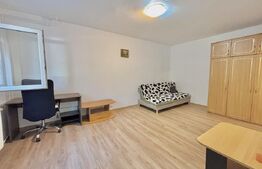 Apartament cu o camera, 28 mp, zona Lipovei