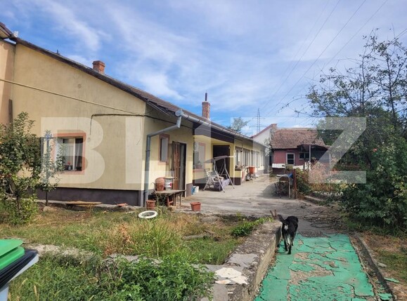 Casa de vânzare 3 camere Bogdanestilor - 206445CV | BLITZ Timișoara | Poza2
