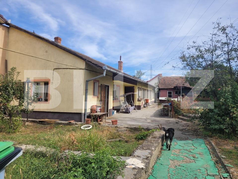 Casa de vânzare 3 camere Bogdanestilor - 206445CV | BLITZ Timișoara | Poza2