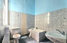 Apartament de inchiriat, 175 mp, zona Iosefin 