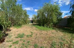 Casa Individuala, 100 mp, 700 mp teren, zona Mosnita Noua