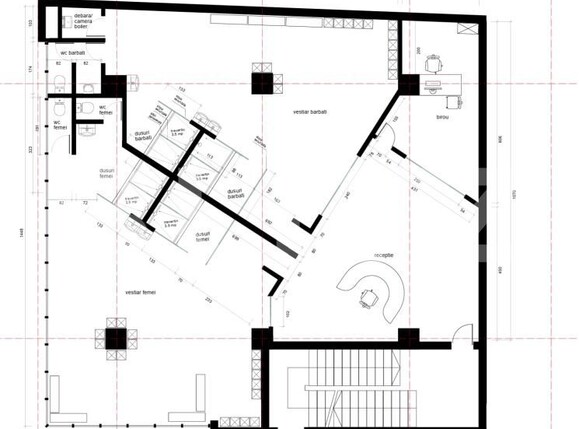 Spațiu comercial de închiriat Badea Cartan - 206740SIC | BLITZ Timișoara | Poza6