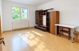 Apartament cu o camera, Etaj 1, Zona Blascovici 