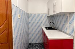 Apartament cu o camera, Etaj 1, Zona Blascovici 